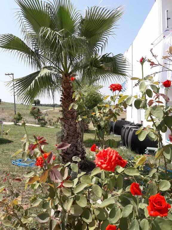Villagiannis Néa Fókaia Exteriér fotografie